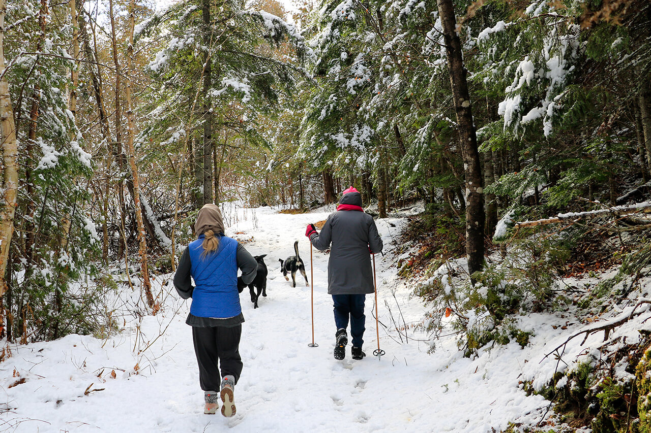 Service éducateur spécialisé